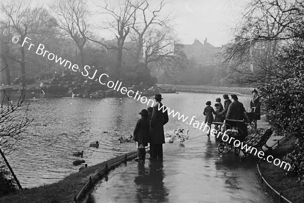 ST STEPHEN'S GREEN FEEDING DUCKS